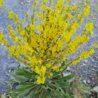 آگهی شخصی ۷۵متر.سلسبیل.مرتضوی قیمت با پارکینگ ۴۹۵۰