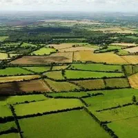 فروش دوقطعه زمین