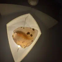 سنگ های قیمتی و شهاب سنگ|کلکسیون اشیاء عتیقه|خلیفان, |دیوار