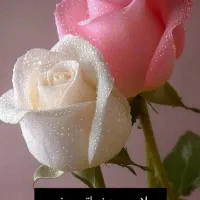 تدریس خصوصی دروس دوم ابتدایی و متوسطه اول