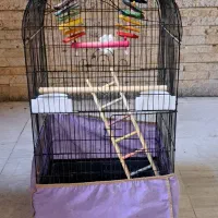 قفس پرنده