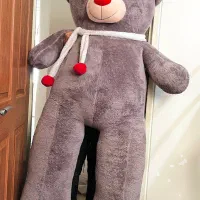 خرس شاسخین ۲ متری
