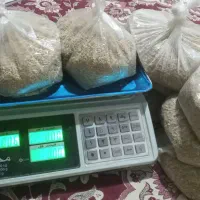 سبزک اسیاب شده