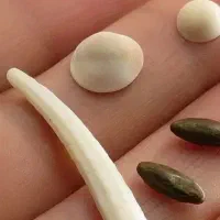 مهره شانس