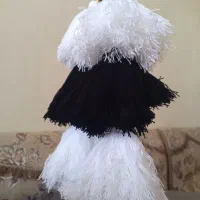 دستمال رقص .شیردنگ