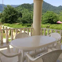 اجاره عمارت ویلا استخردار 4 خوابه جنگلی جکوزی|اجارهٔ کوتاه‌مدت ویلا و باغ|شفت, |دیوار