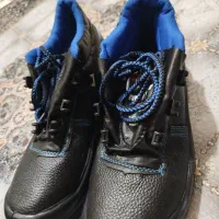 کفش millers|کیف، کفش، کمربند|دهدشت, |دیوار