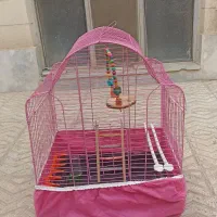 قفس پرنده