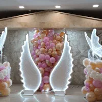 گل آرایی بادکنک آرایی ماشین عروس طراحی ویژه|خدمات پذیرایی، مراسم|قم, حاج زینل|دیوار