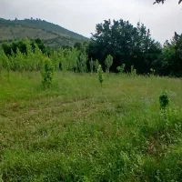 باغ-2000متری-در-بهترین-لوکیشن-چالوس-روستای-عالیدره