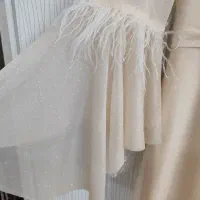 لباس مجلسی|لباس|تبریز, |دیوار