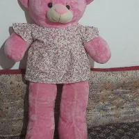 عروسک‌خرسی