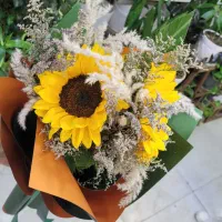 گل آفتابگردون خارجی فقط ۶۰ تومان|گل و گیاه طبیعی|شیراز, خلدبرین|دیوار