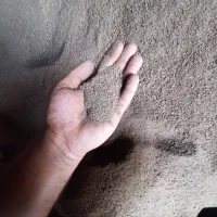 پودره هسته وتفاله خرما