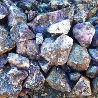 فروش فلورین