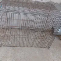 قفس قناری