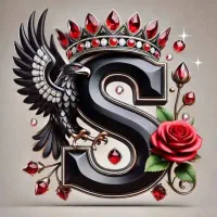 ارائه خدمات نظافتی.