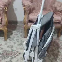 کالسکه مسافرتی اروپایی