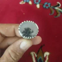 انگشتر شجر|جواهرات|نهاوند, |دیوار