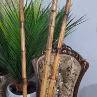 چوب بامبو نژاد گرین افریقا سایز ۳