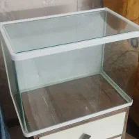 آکواریوم خم شرکتی