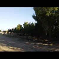 گاوداری ۱۵۰ راسی|فروش دفتر صنعتی، کشاورزی، تجاری|اردبیل, |دیوار
