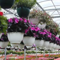 انواع کود گل و گیاه و درخت