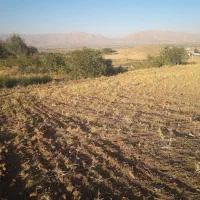 یک قطعه زمین کشاورزی دیم در ۲۵۰ متری روستا|فروش دفتر صنعتی، کشاورزی، تجاری|زرین دشت (همدان), |دیوار