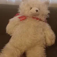 خرس  سایزنود|اسباب‌‌بازی|تبریز, |دیوار