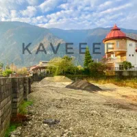 زمین پلاک اول جنگل+بخر بساز