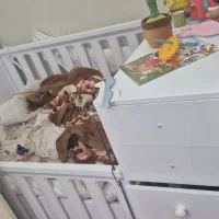 تخت کودک و نوجوان|تخت و صندلی بچه|بندر ماهشهر, |دیوار