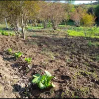 زمین-روستای-کوهستان