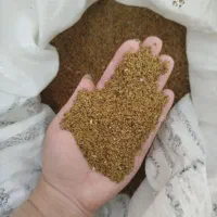 تخم یونجه|خدمات باغبانی و درختکاری|جنت, |دیوار