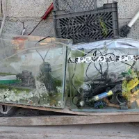 شیشه آکواریوم