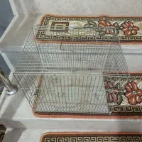 قفس|لوازم جانبی حیوانات|بهارستان, |دیوار