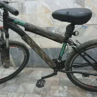 دوچرخه 26ویوا