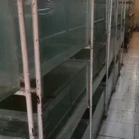 اکواریوم یک متری|ماهی|ملایر, |دیوار