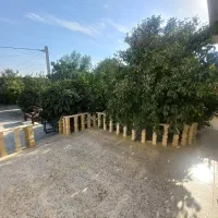 اجاره خانه باغچه مبله...