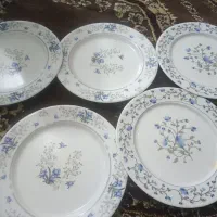 بشقاب تمیز ونو