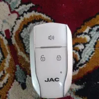 حیوانات|پرنده|آبپخش, |دیوار