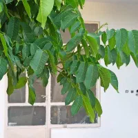 فروش-منزل-ویلایی-مهدیه