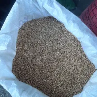 فروش گندم