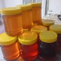 عسل بهاره وباکیفیت بهاره