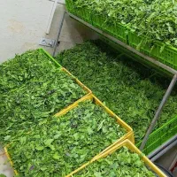 سبزی آماده|خوردنی و آشامیدنی|تهران, مولوی|دیوار