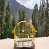 3 عدد قفس پرنده سالم