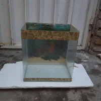 آکواریوم شرکتی و بزرگ