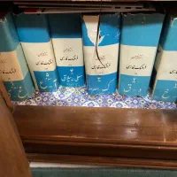 فرهنگ معین انتشارات امیر کبیر ( کمیاب)