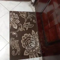 پادری قهوه ای