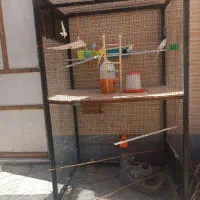 قفس بزرگ رنگ شده