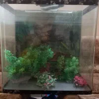 آکواریوم شیشه خم با لوازم. پایه و آکواریوم  تکثیر